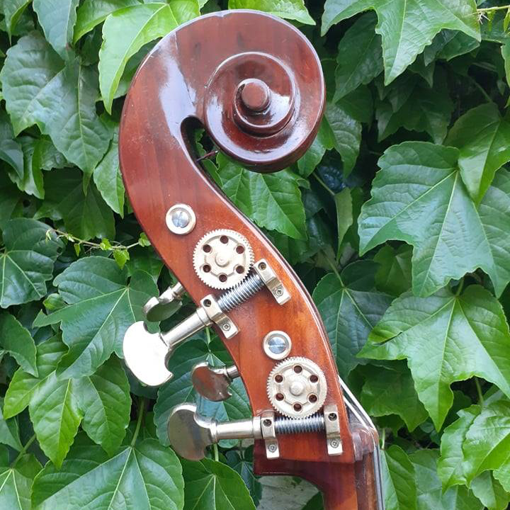 Upright Basses Dick's Bass Sales & Rentals